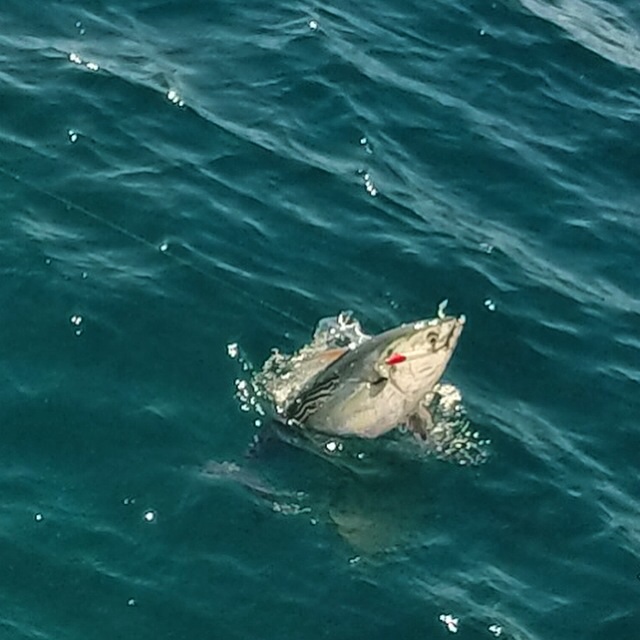 He got off!