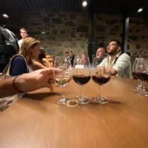 Wine Tasting Pacheco Vineyard