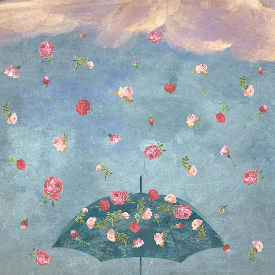 rose-rain