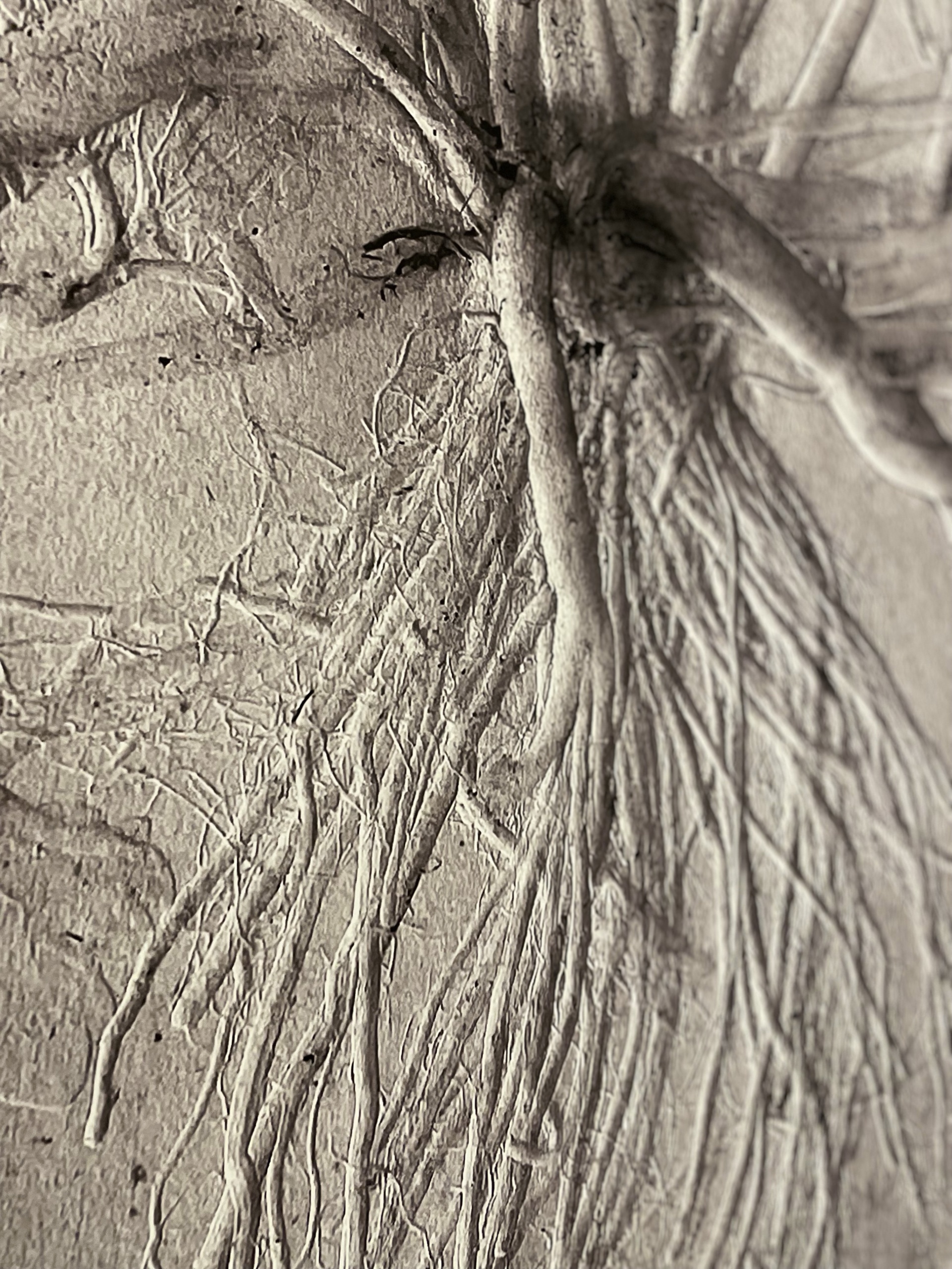 Grethe Wittrock: MARK ARBEJDE