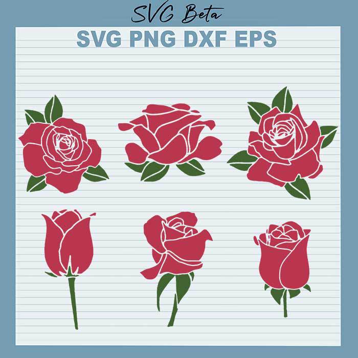 6 Rose Bundle svg