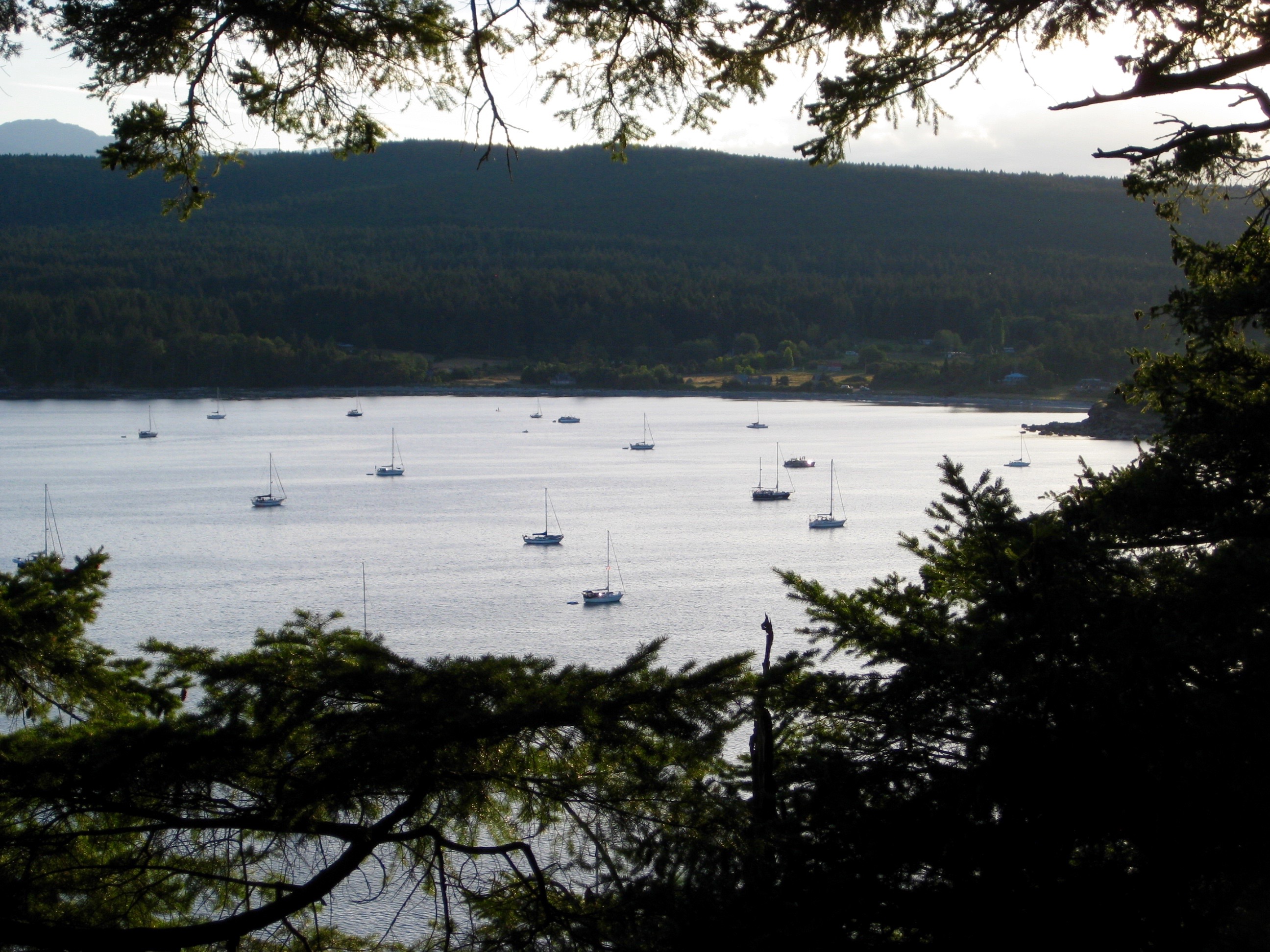 Tribune Bay S/V Madrone