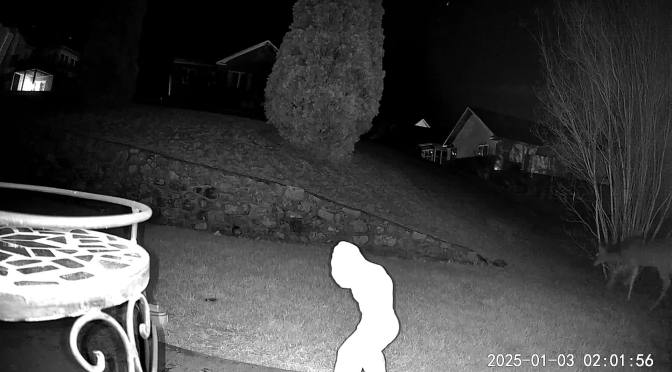 Bluesky update on January 3, 2025 at 4:23 am