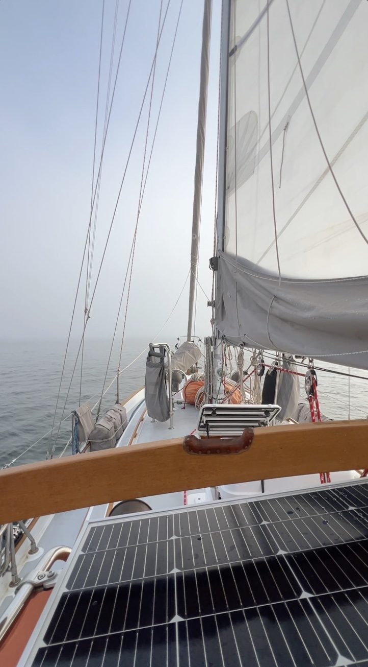 Fog across Bahia Concepcion