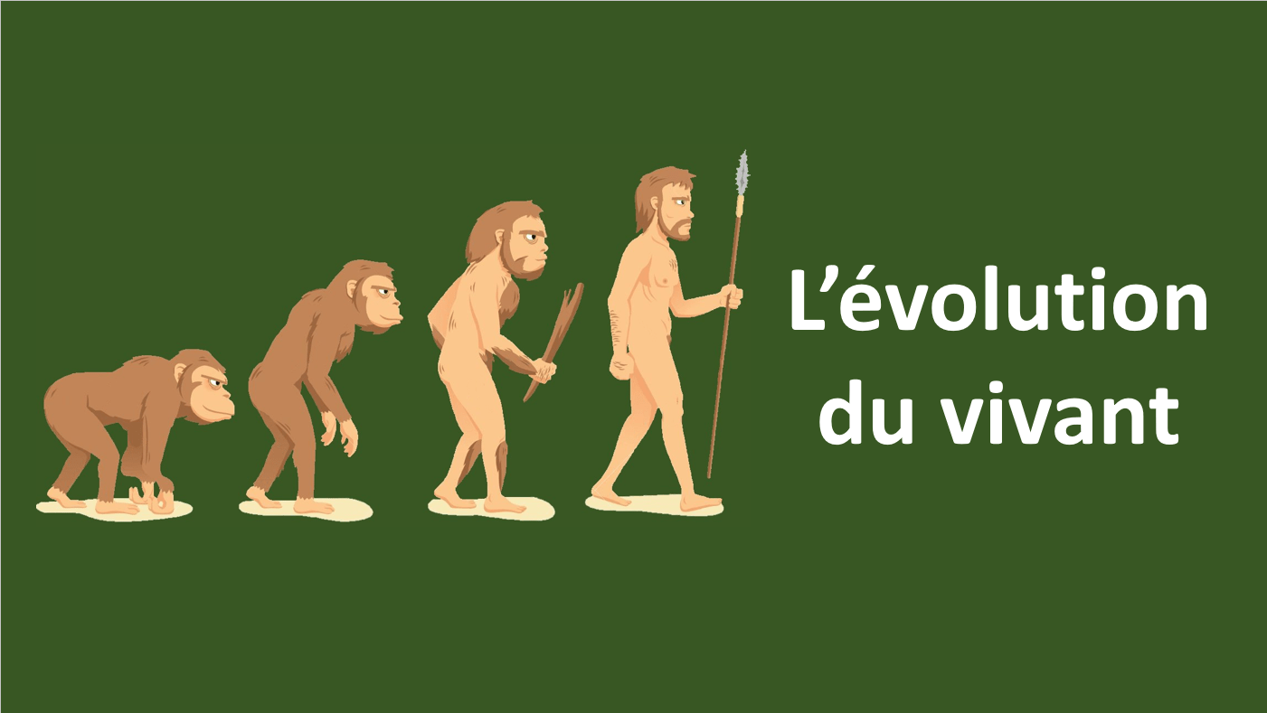 Le Vivant Et Son Evolution Svt 5eme ÉVOLUTION DU VIVANT – S.V.T. Diderot