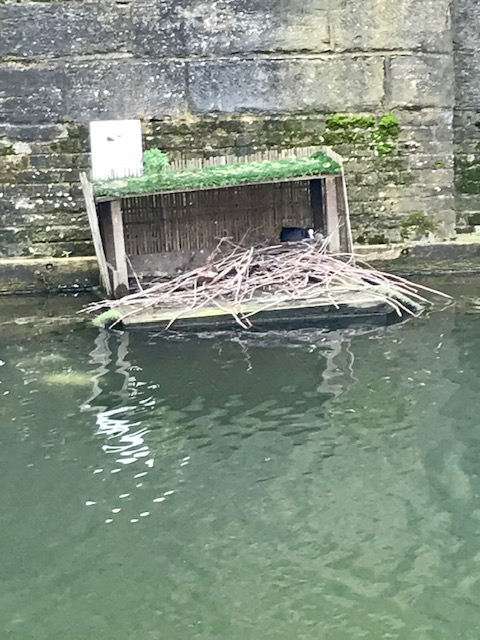 Residents lend a helping hand