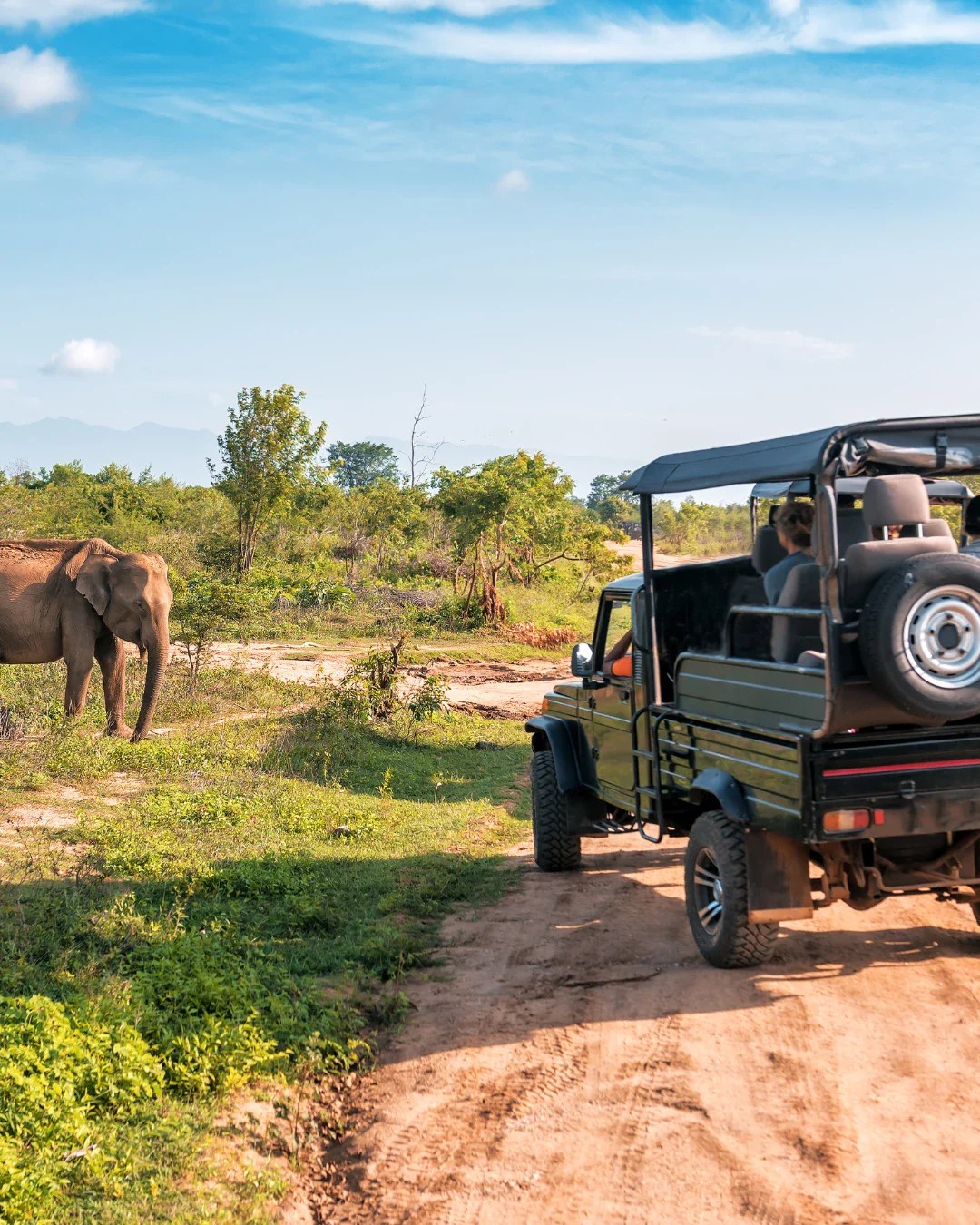 Volunteer Abroad Swap Working Holidays