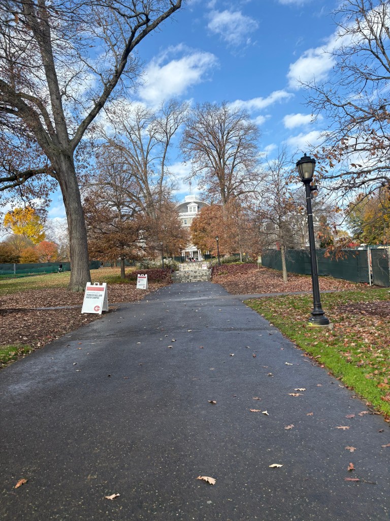 Magill Walk: The road down Parrish