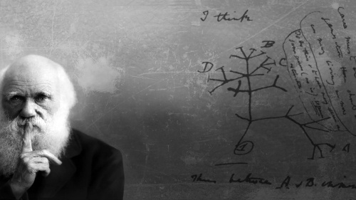 Evolution and Purpose: Re-Running the Tape of Life