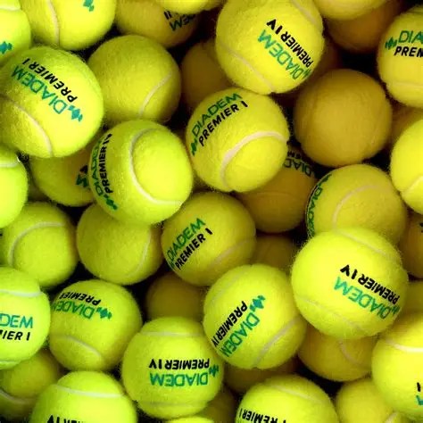 Diadem Premier Extra Duty Tennis Ball Can