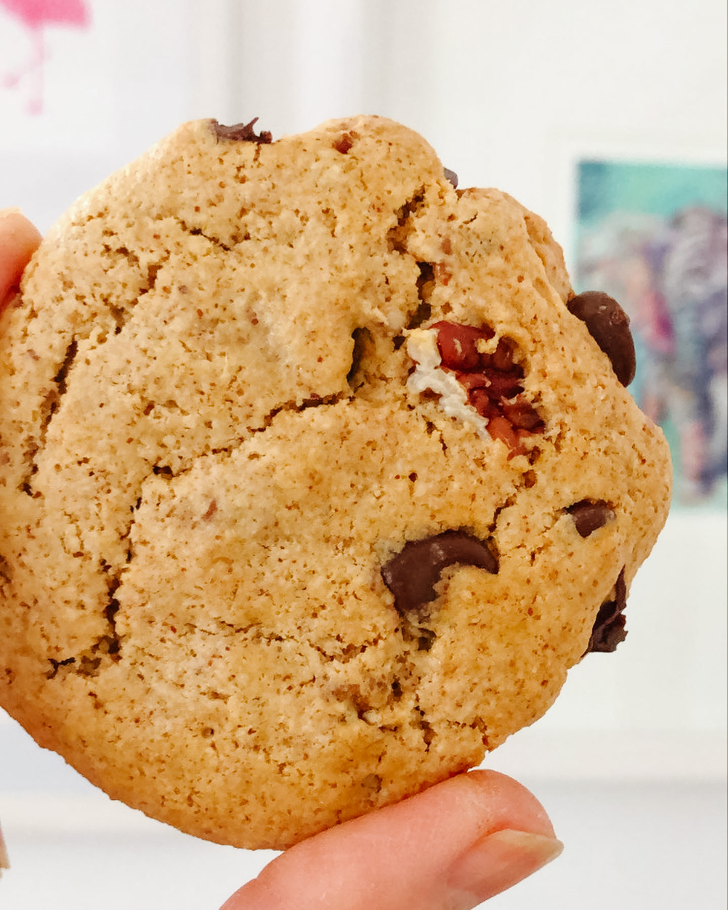 Close up of single pecan chocolate chip cookie