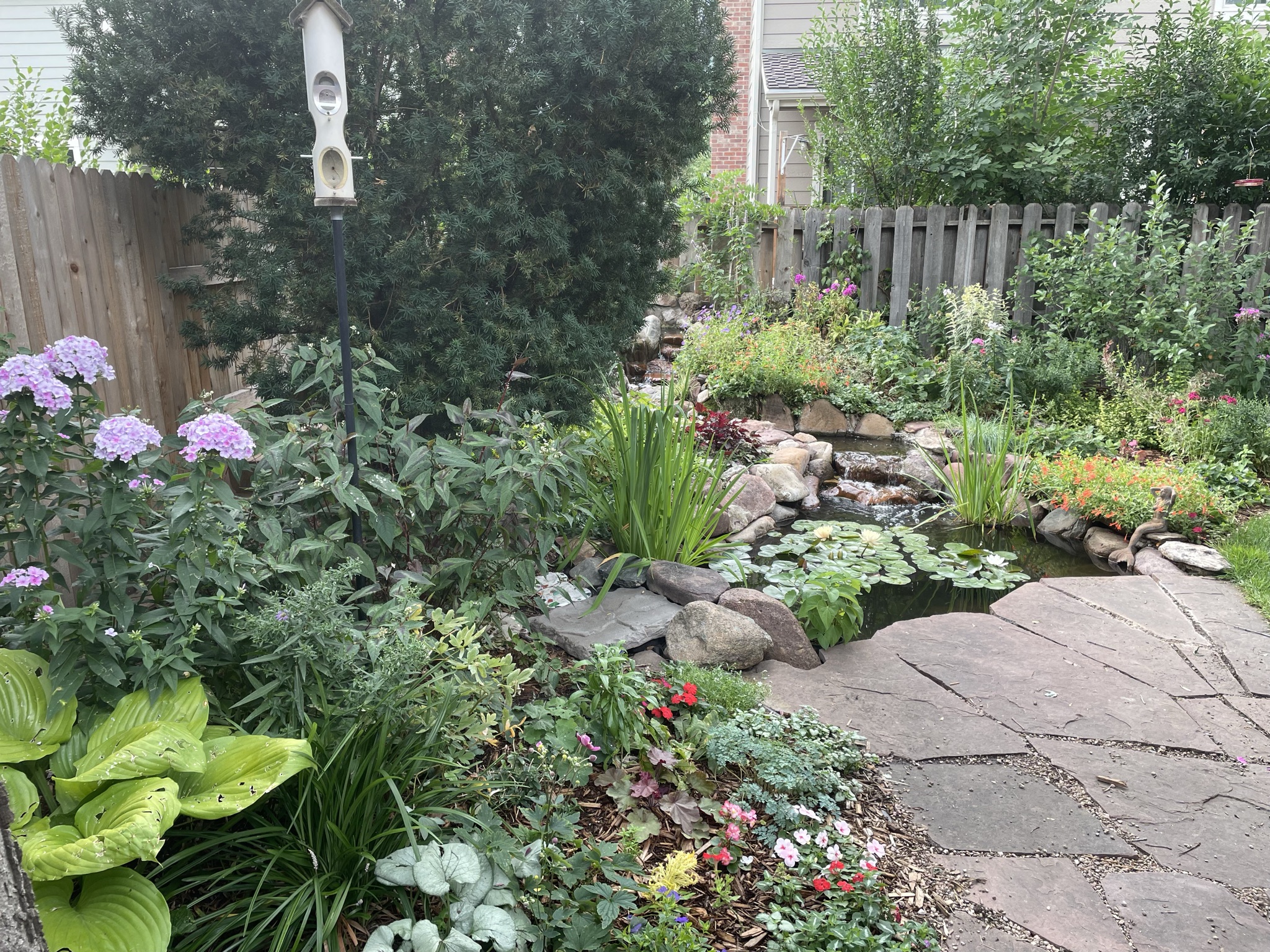 Pond ready for pond inspection