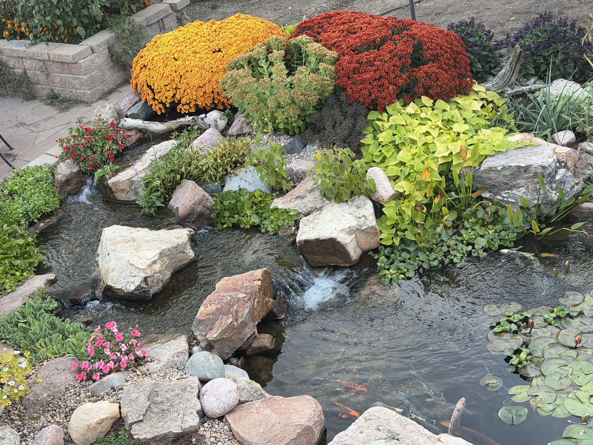 Image of backyard pond stream with Mums