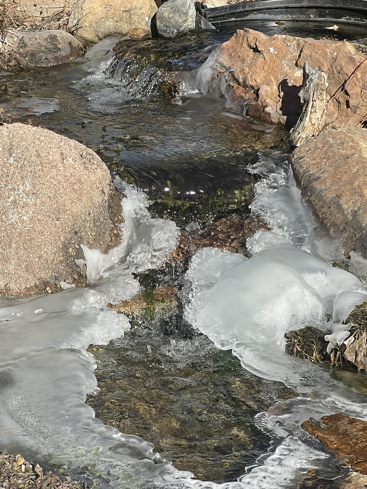 image of winter waterfall going into a koi pond