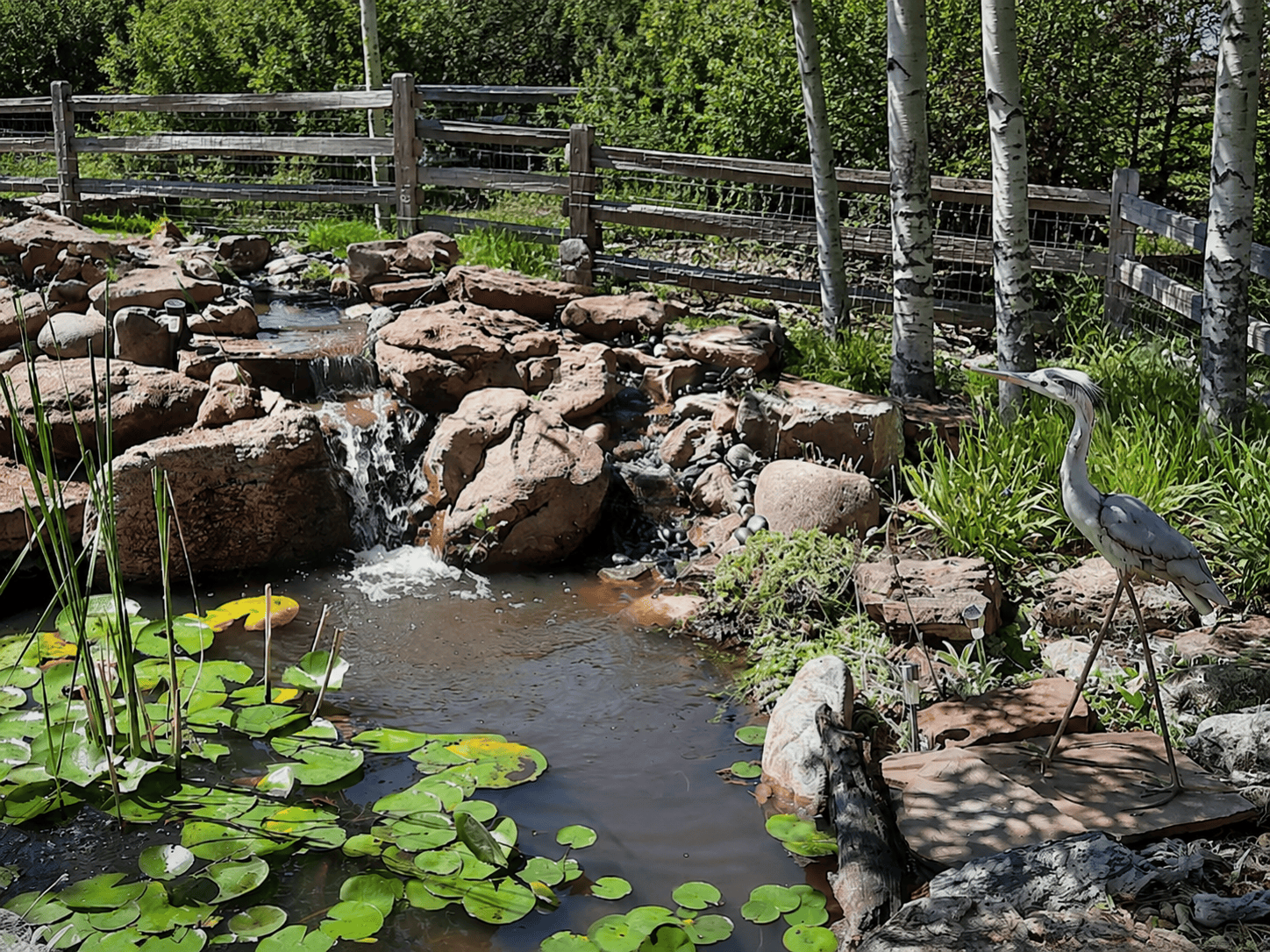 Photo of a pond with a split rail fence and Aspen trees