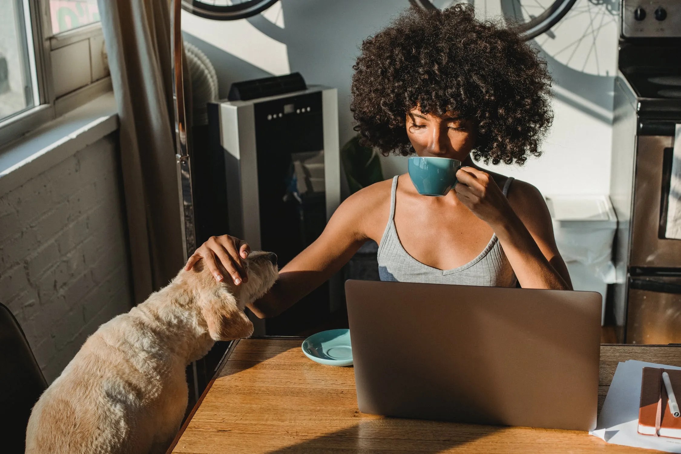 Best Remote Jobs Without Degree - t9ej4wp