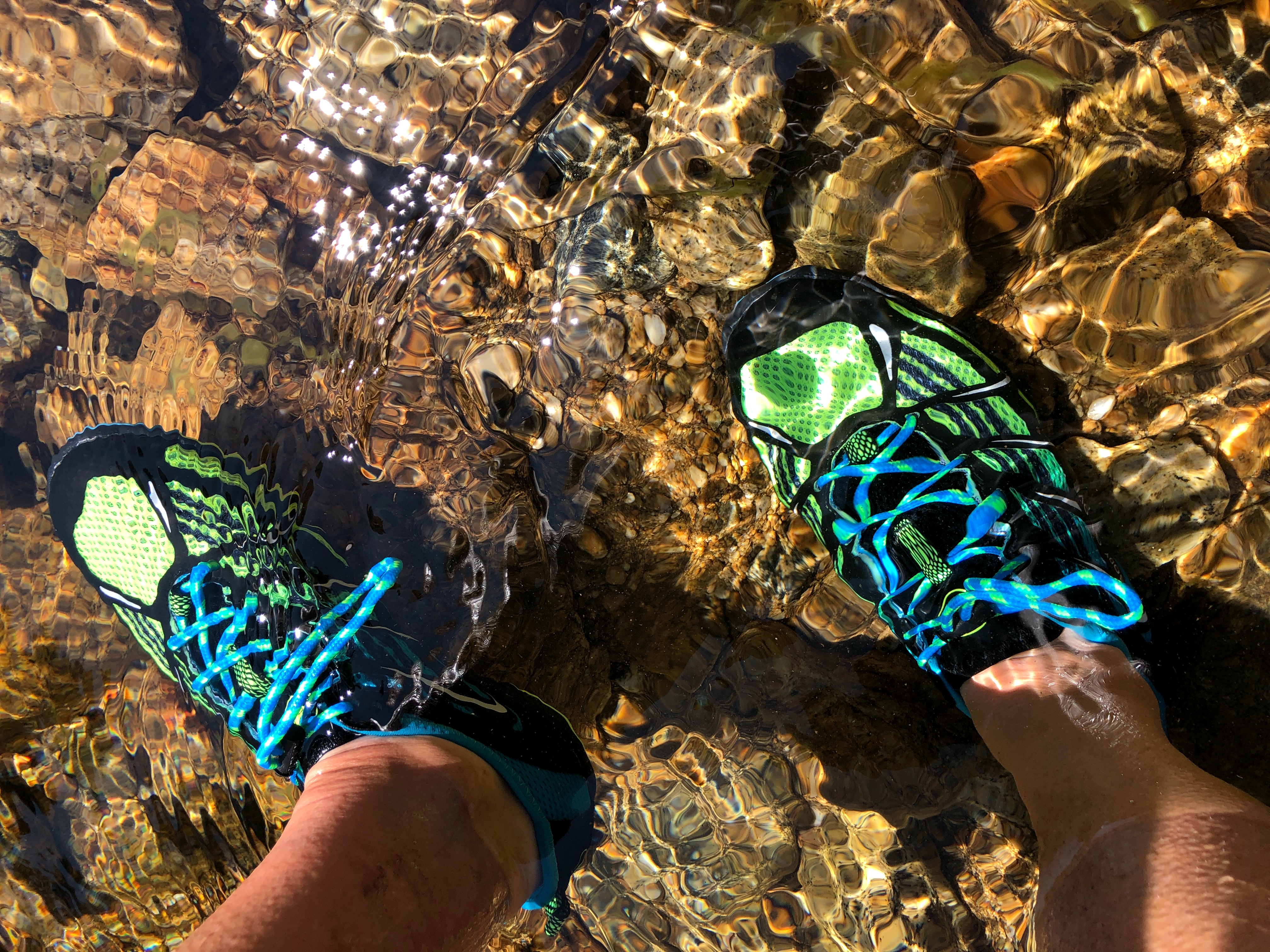 dynamo rapid water shoes