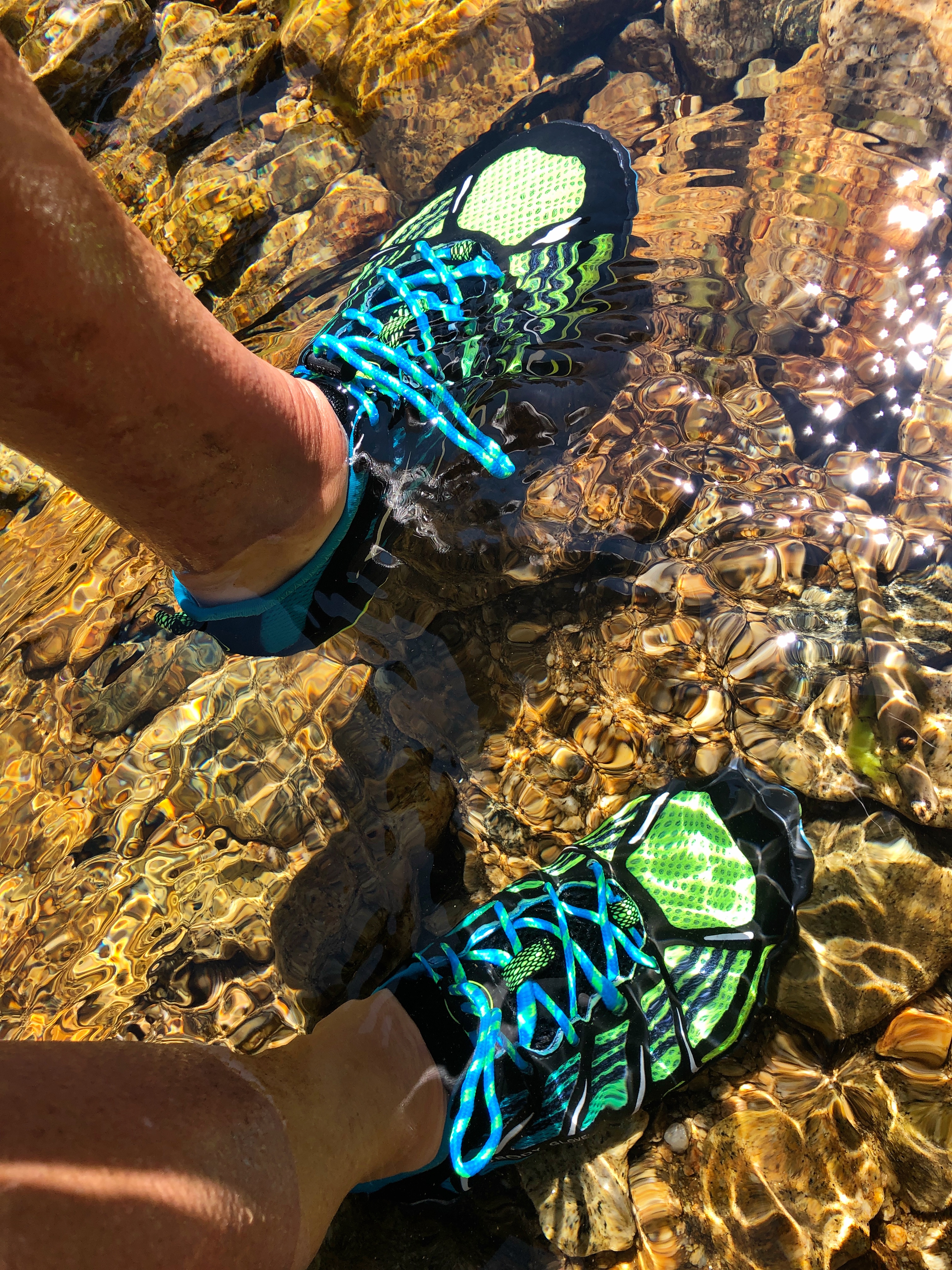 dynamo rapid water shoes