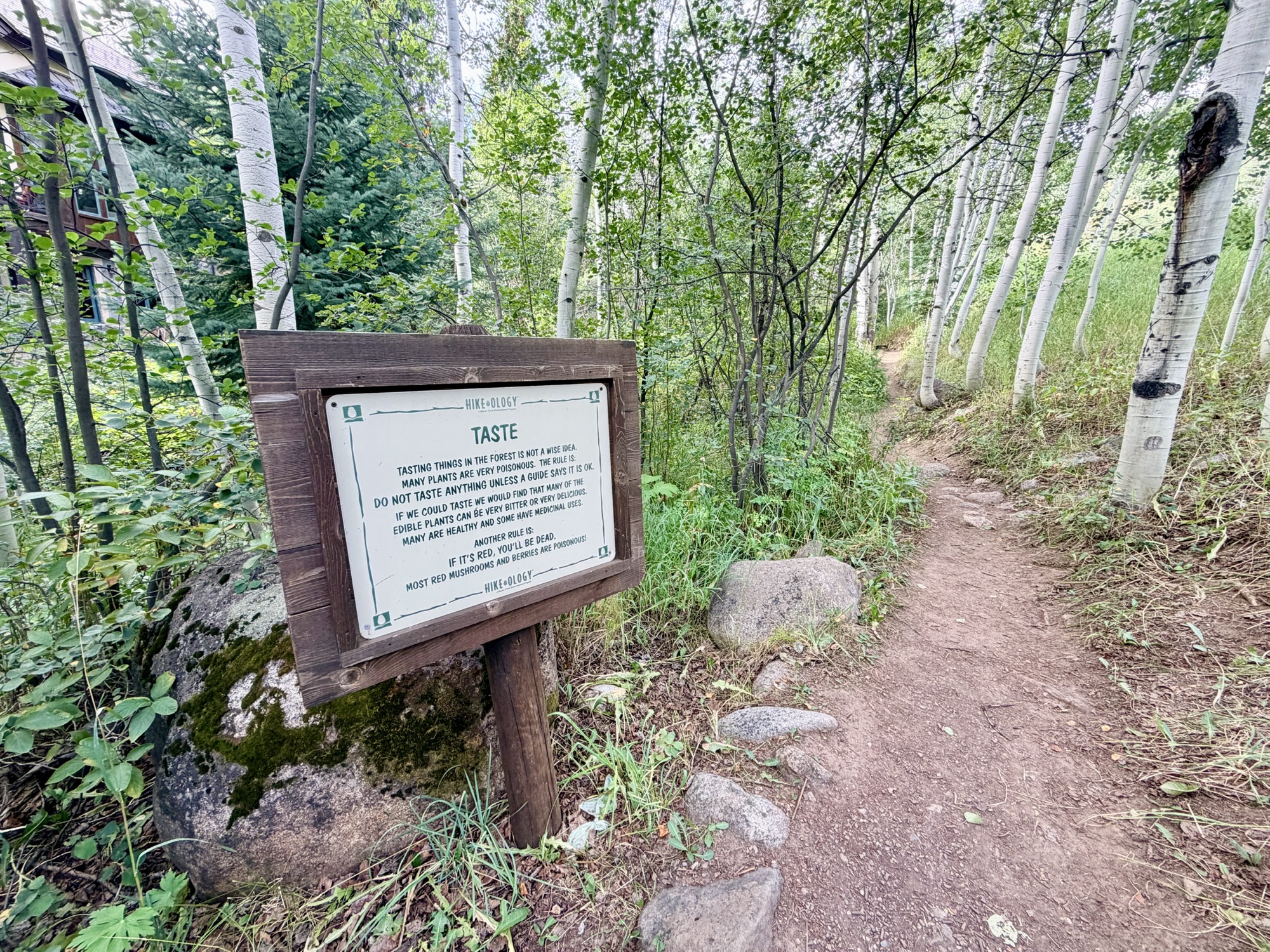 Beaver Lake: A Scenic Hiking Adventure - Swept Away Today