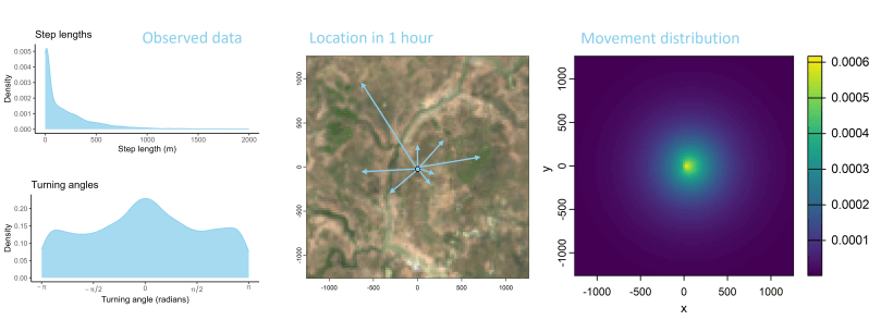 Step Selection Intuition Deepssf - Retina Geometric Designs for Desktop