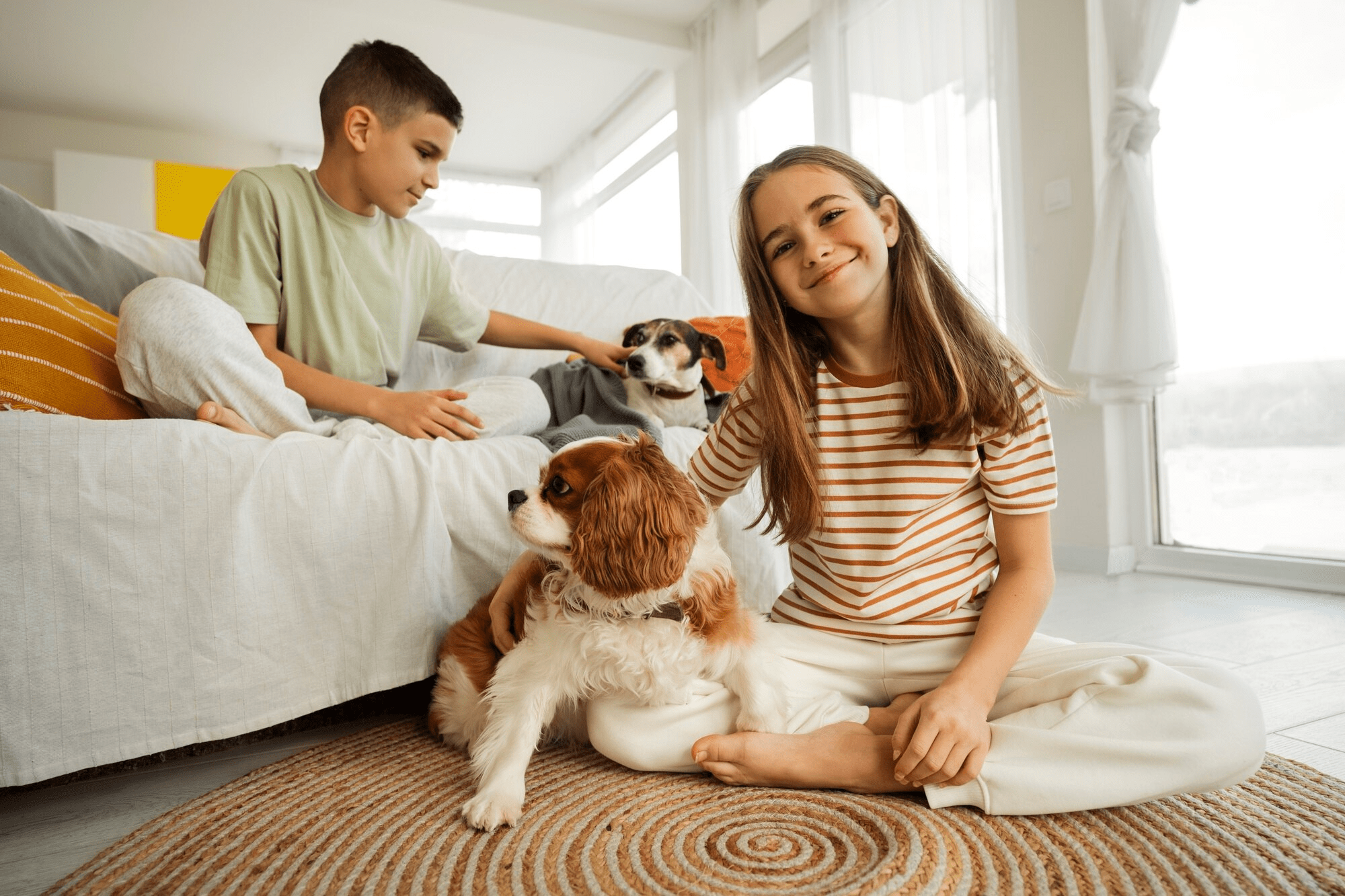 Eco-Friendly Cleaning: A Safer Choice for Your Family and Pets