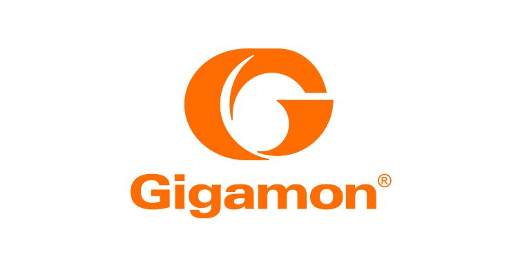 Gigamon - Amazing Minimal Wallpaper - Ultra HD