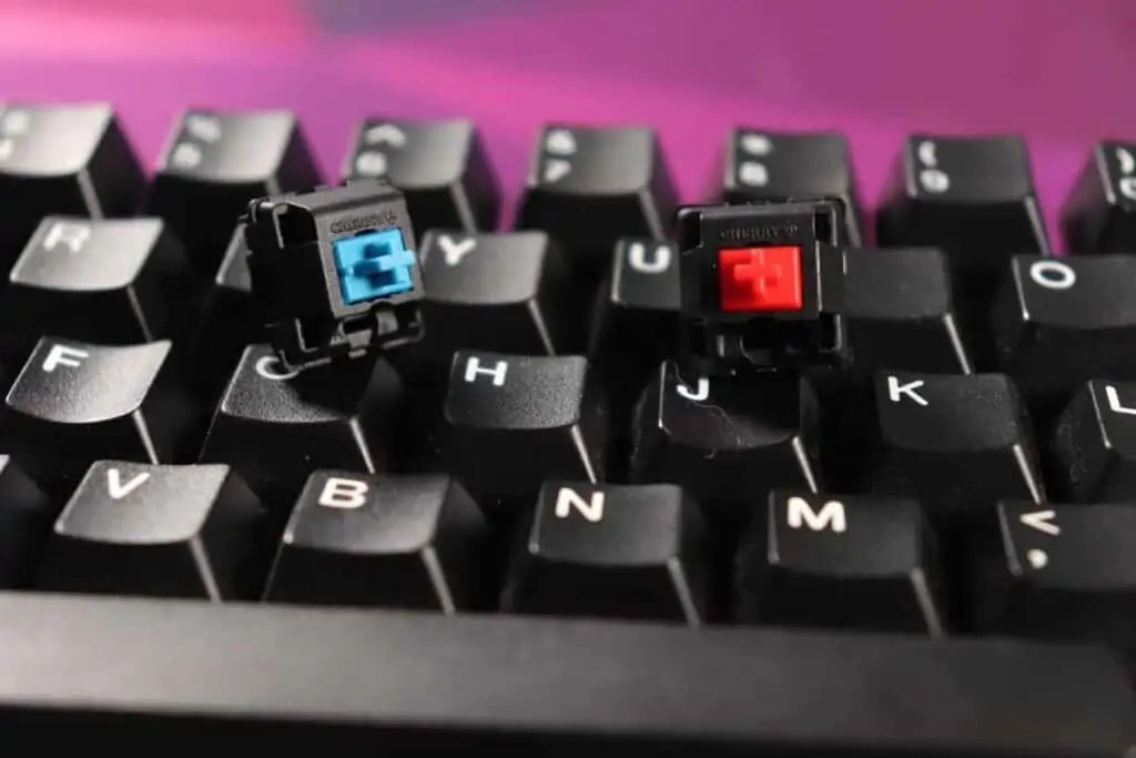 Cherry MX Red Vs Blue Switches Ultimate Typing Showdown 2026 IMG 8450 1024x683 