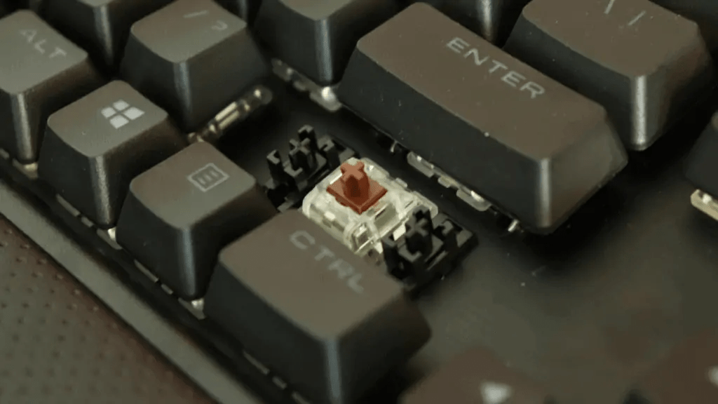 Mechanical Keyboard Switches Brown Vs Red At Raymond Curry Blog Untitled Design 9 1024x576 1 