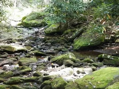 DSCN0107
