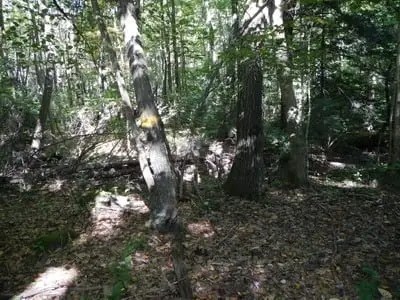 DSCN0194