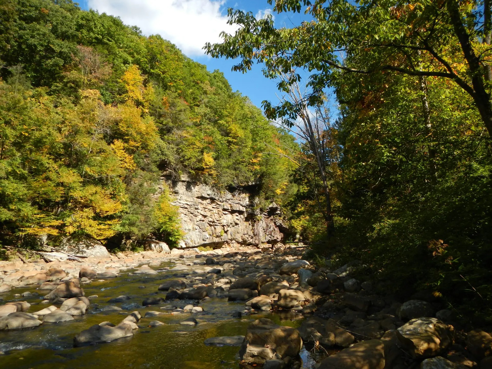 North Branch Laurel Access