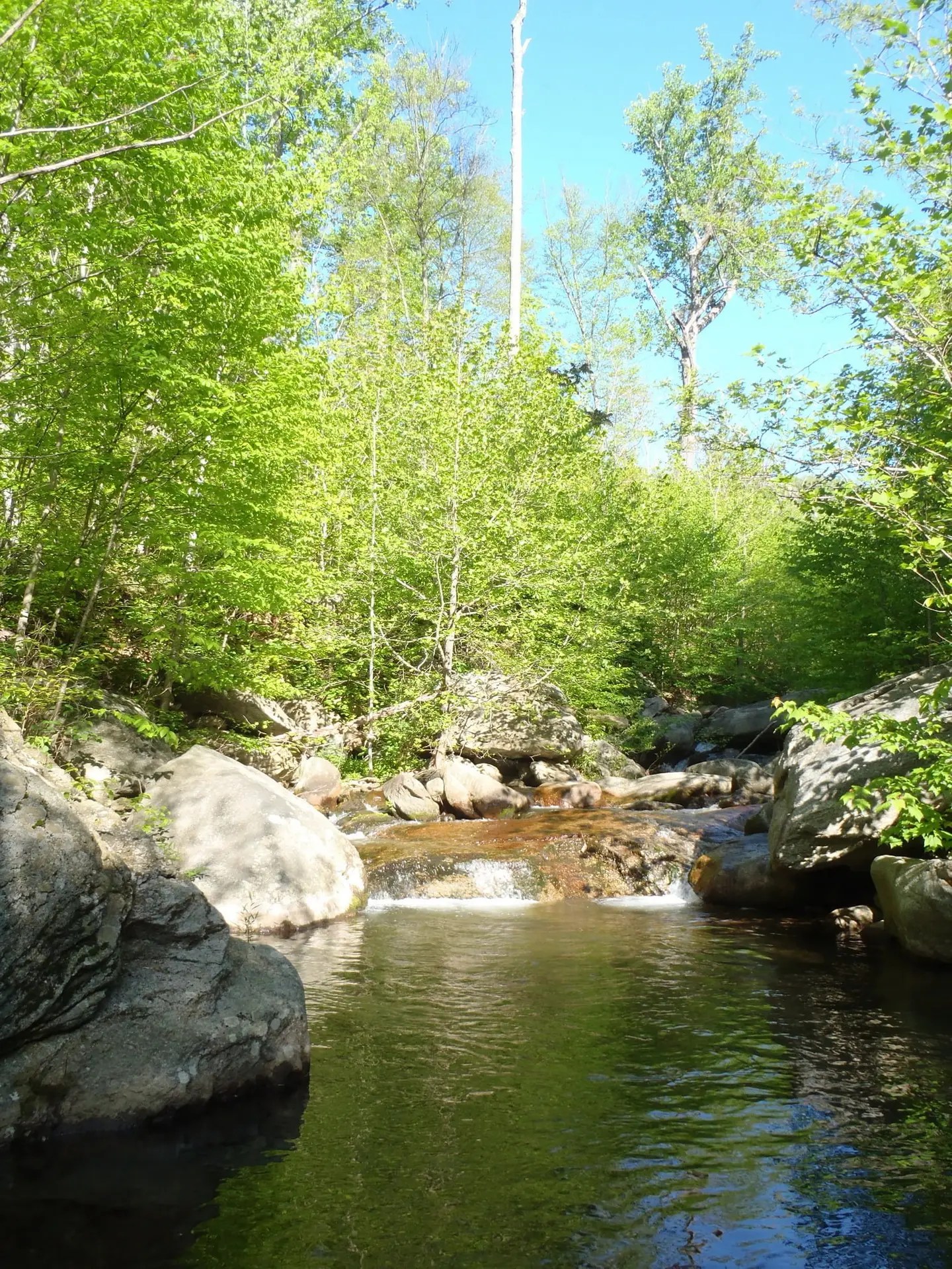 Staunton River