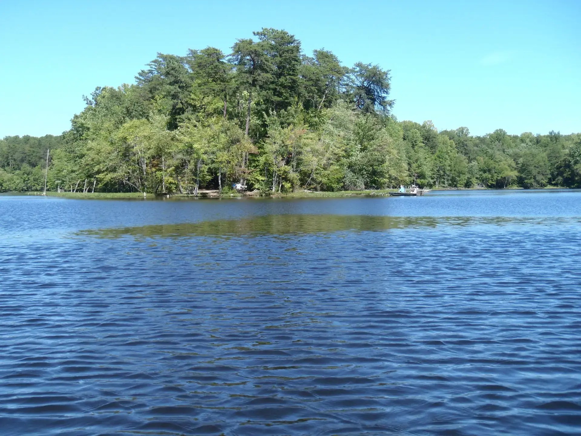 Burke Lake