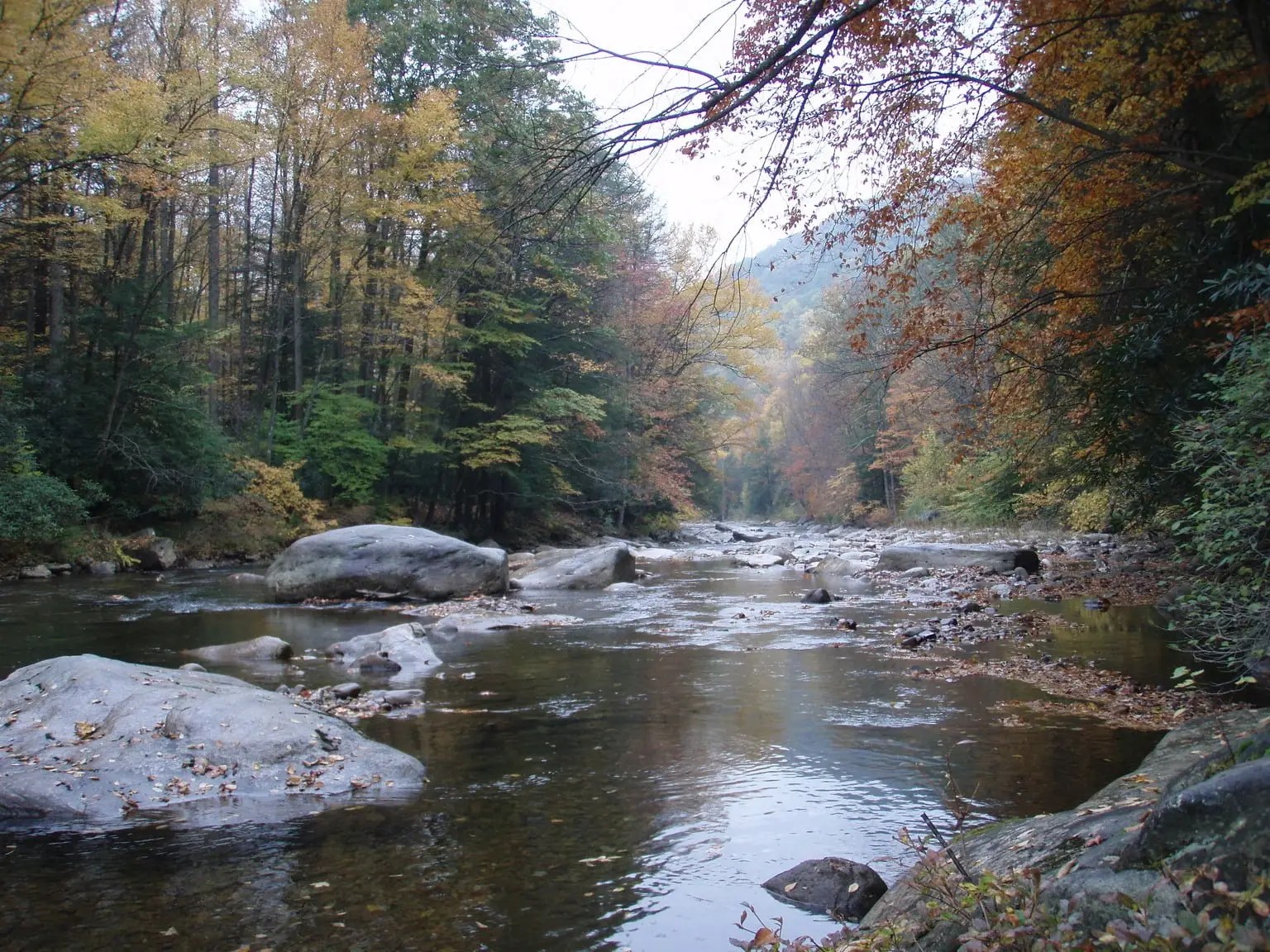 Cranberry River - Fall
