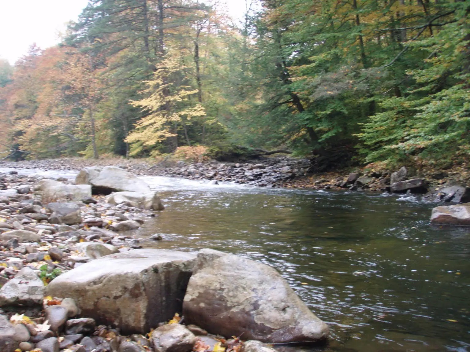 Cranberry River