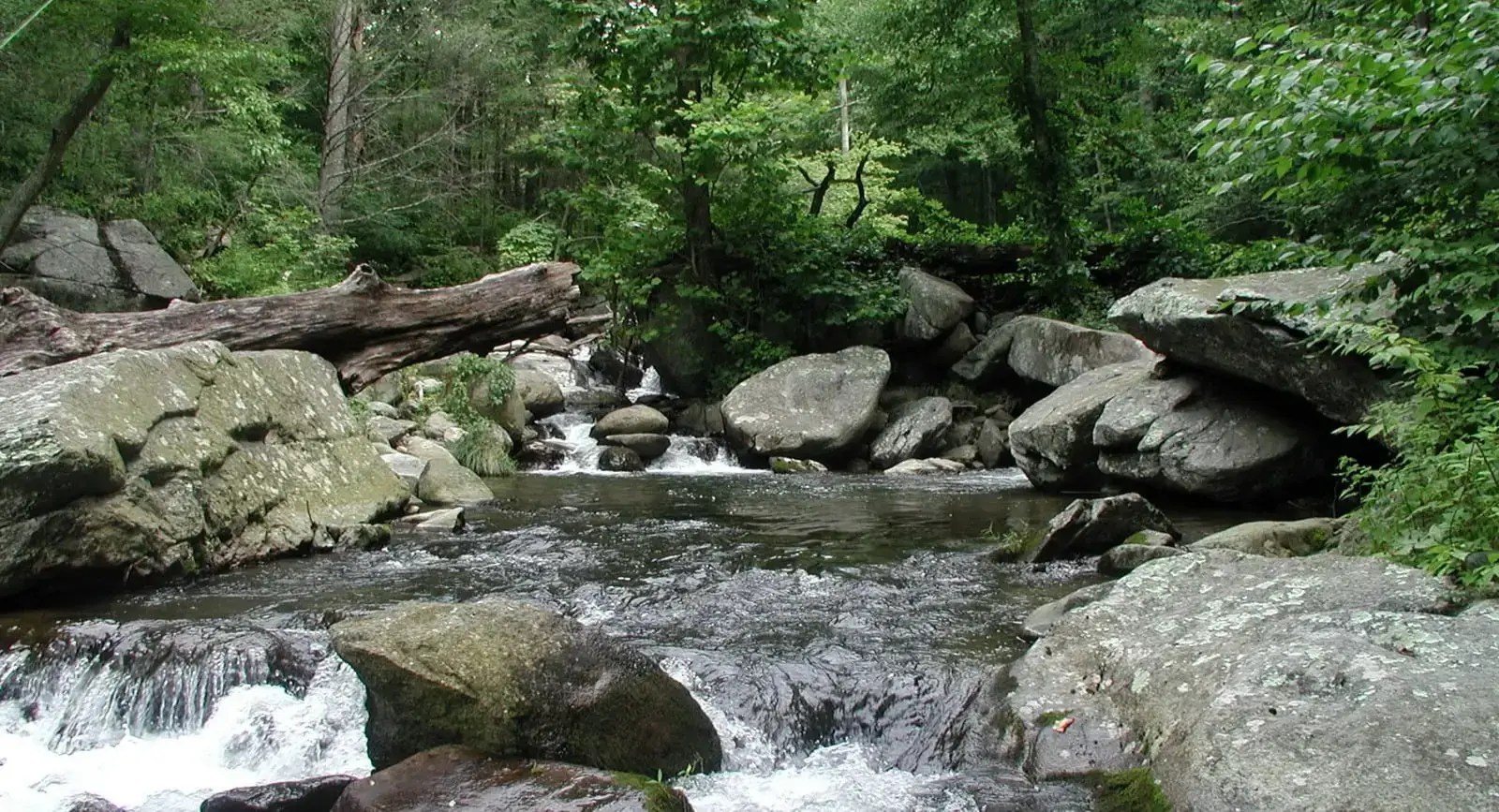 Rapidan