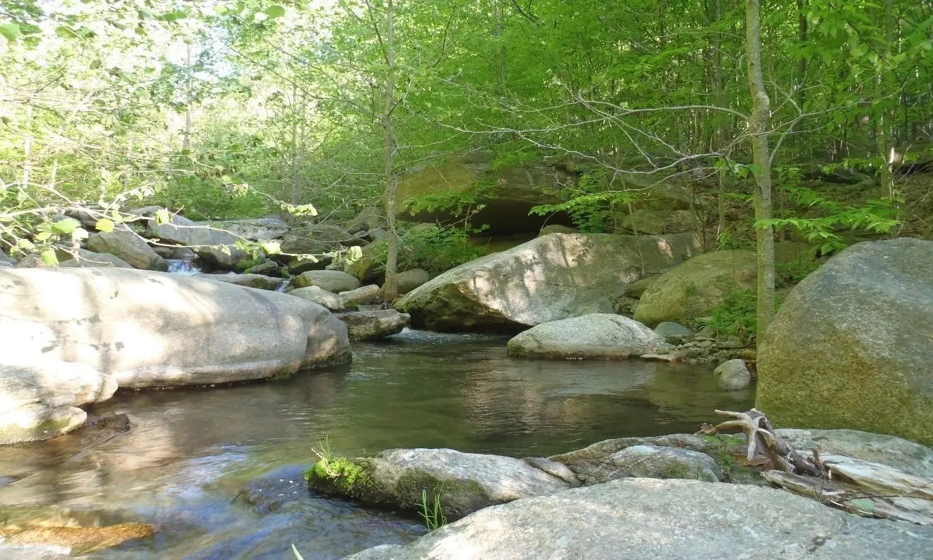 Small tight water gives the Tenkara angler a decisive advantage
