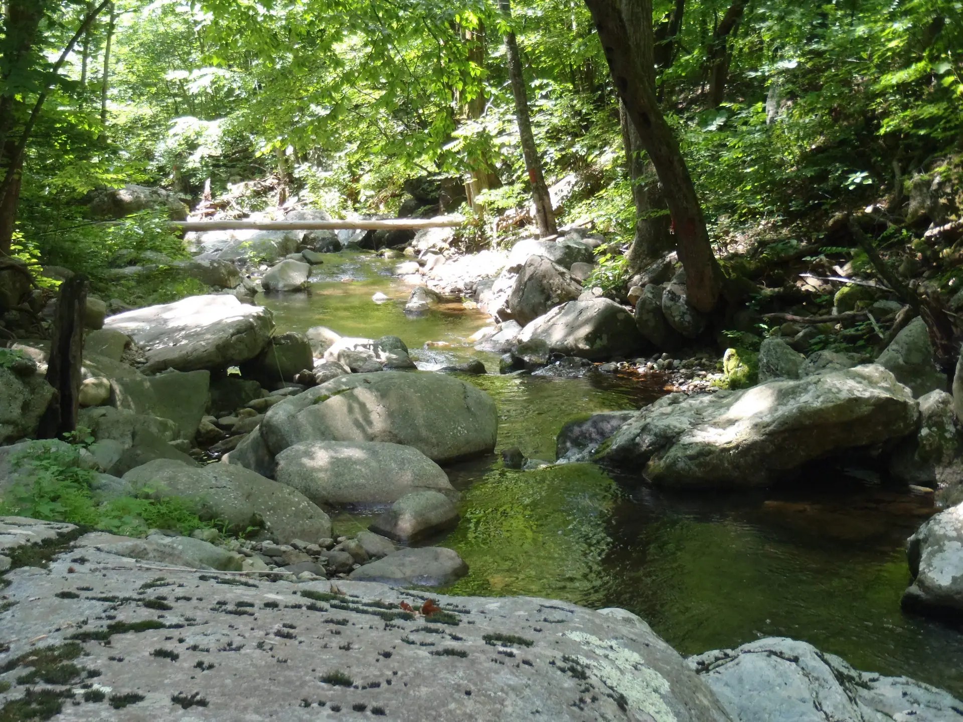 Rapidan River in Virginia