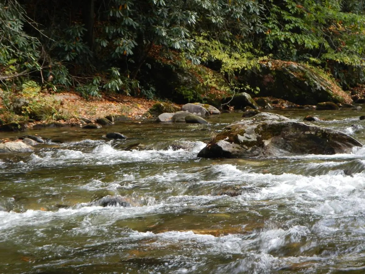 Large Rock in Stream