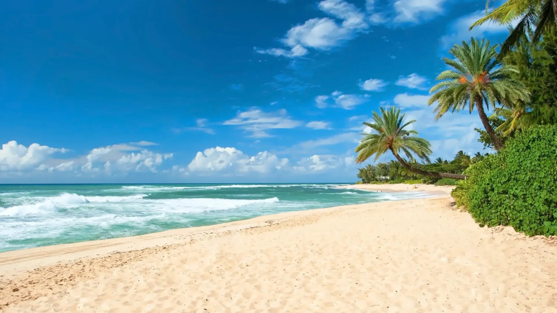 Sunny beach