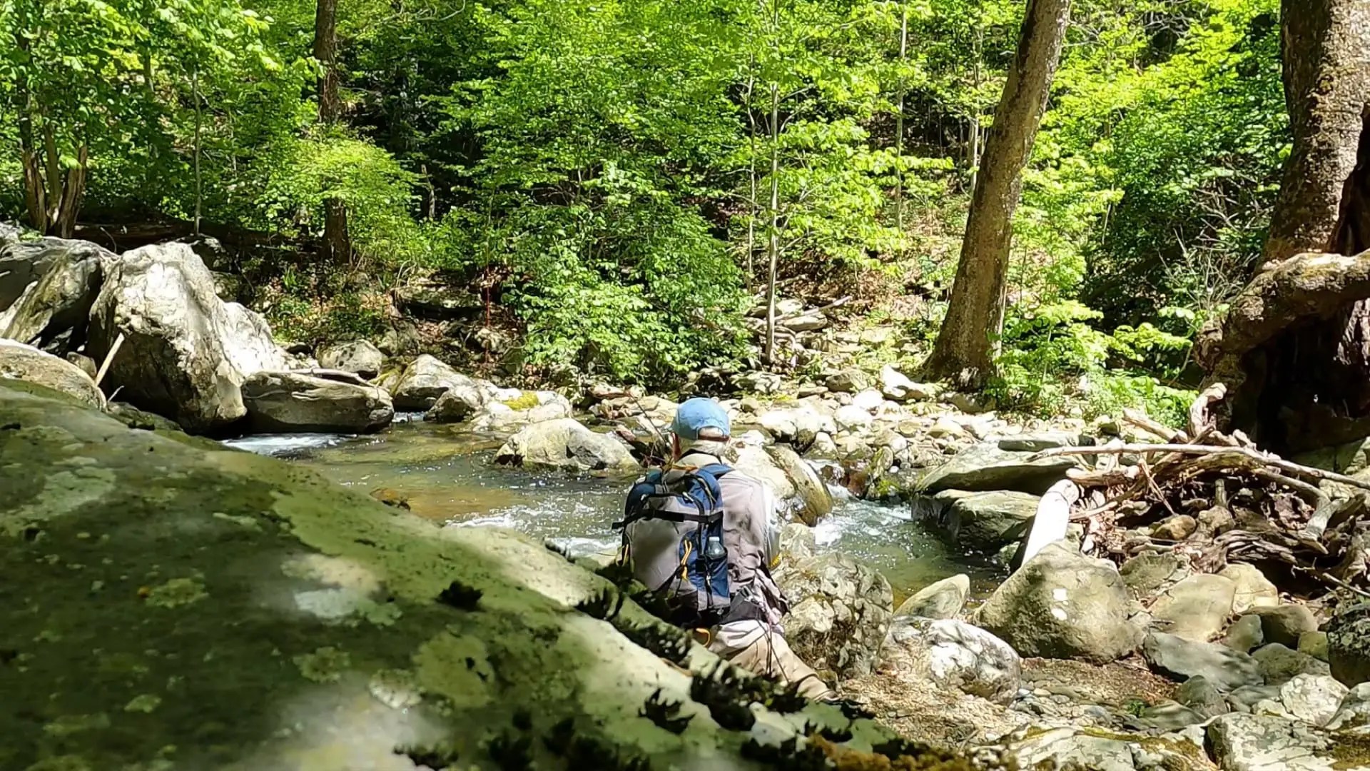 Fishing in small stream