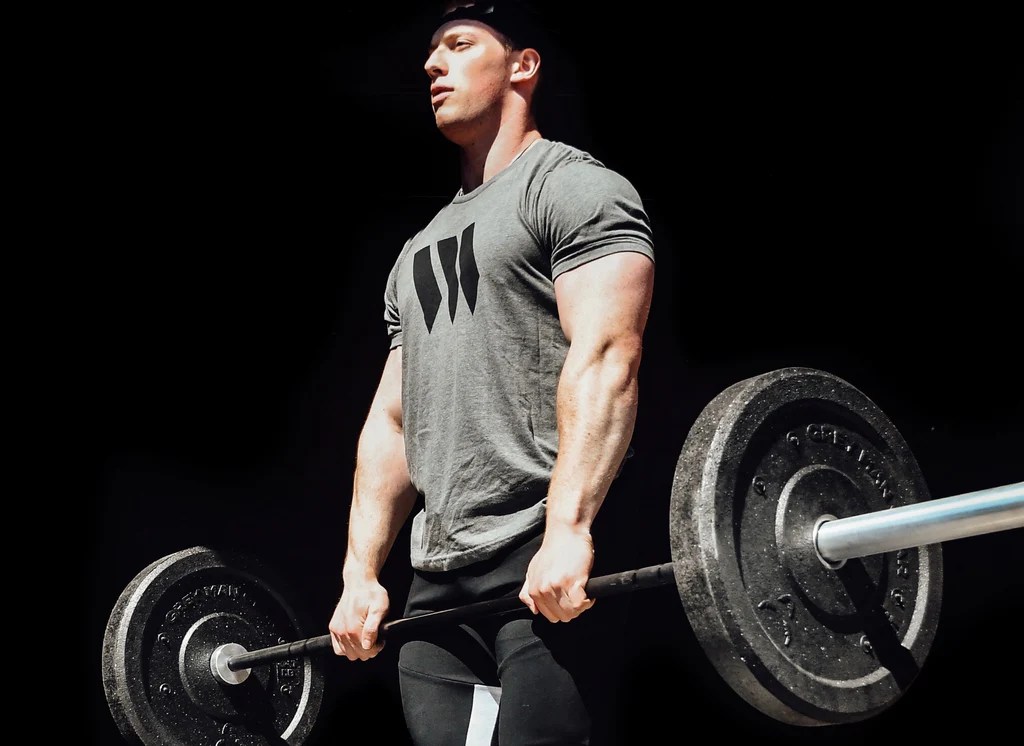 Are full body workouts better than splits