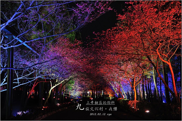 【南投 景點】九族文化村「夜櫻」 | 翻落的水彩盤