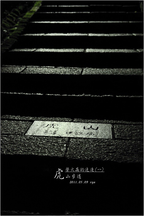 【台北 景點】虎山步道 | 夏季可賞螢火蟲，也可九五峰健行登頂遠眺101的夕照