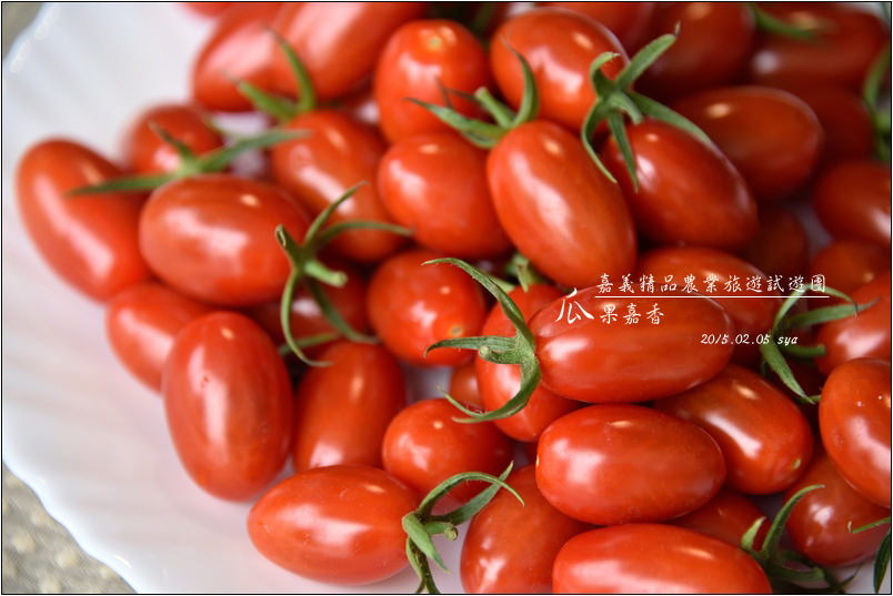 【嘉義】樂活田園瓜果嘉香。嘉義精品農業旅遊試遊團