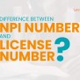 Difference Between NPI And License Number - NPI For 2024