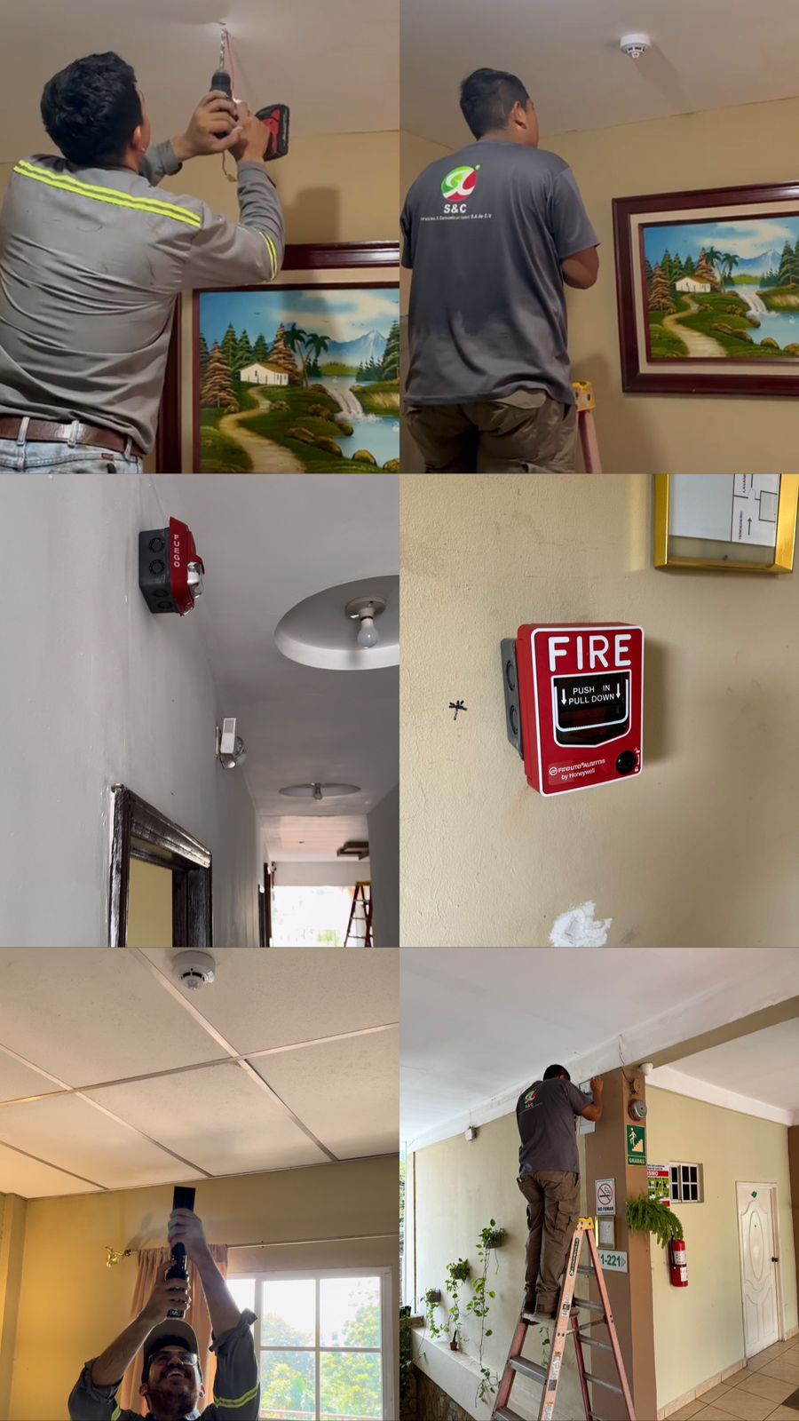 WhatsApp Image 2024-03-11 at 5.56.48 PM