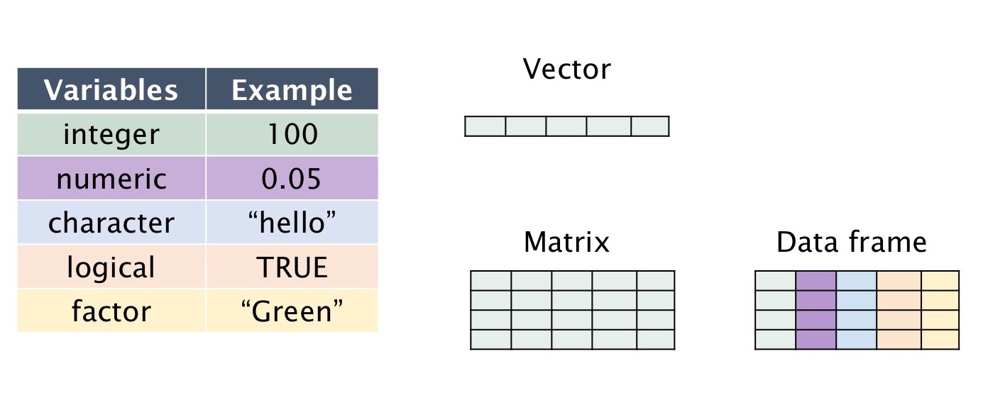 Array variable. Variables example. varriables types: integer character numeric r. define variables as matrix variables. define unknown variables as matrix variables.