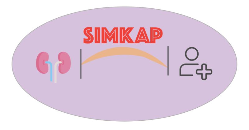 Kidney Allocation Simulation Process Simkap Package Simkap - Premium Geometric Image Gallery - Ultra HD