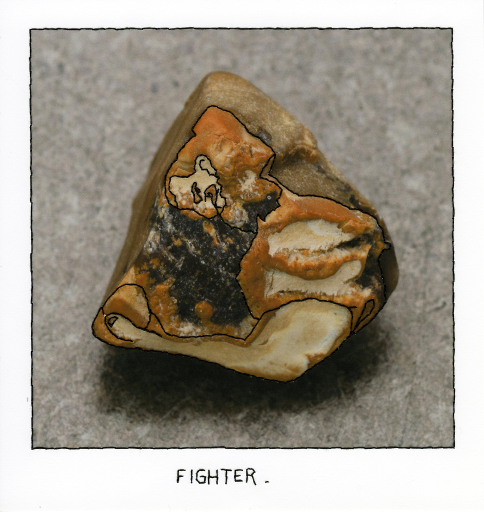 Fighter